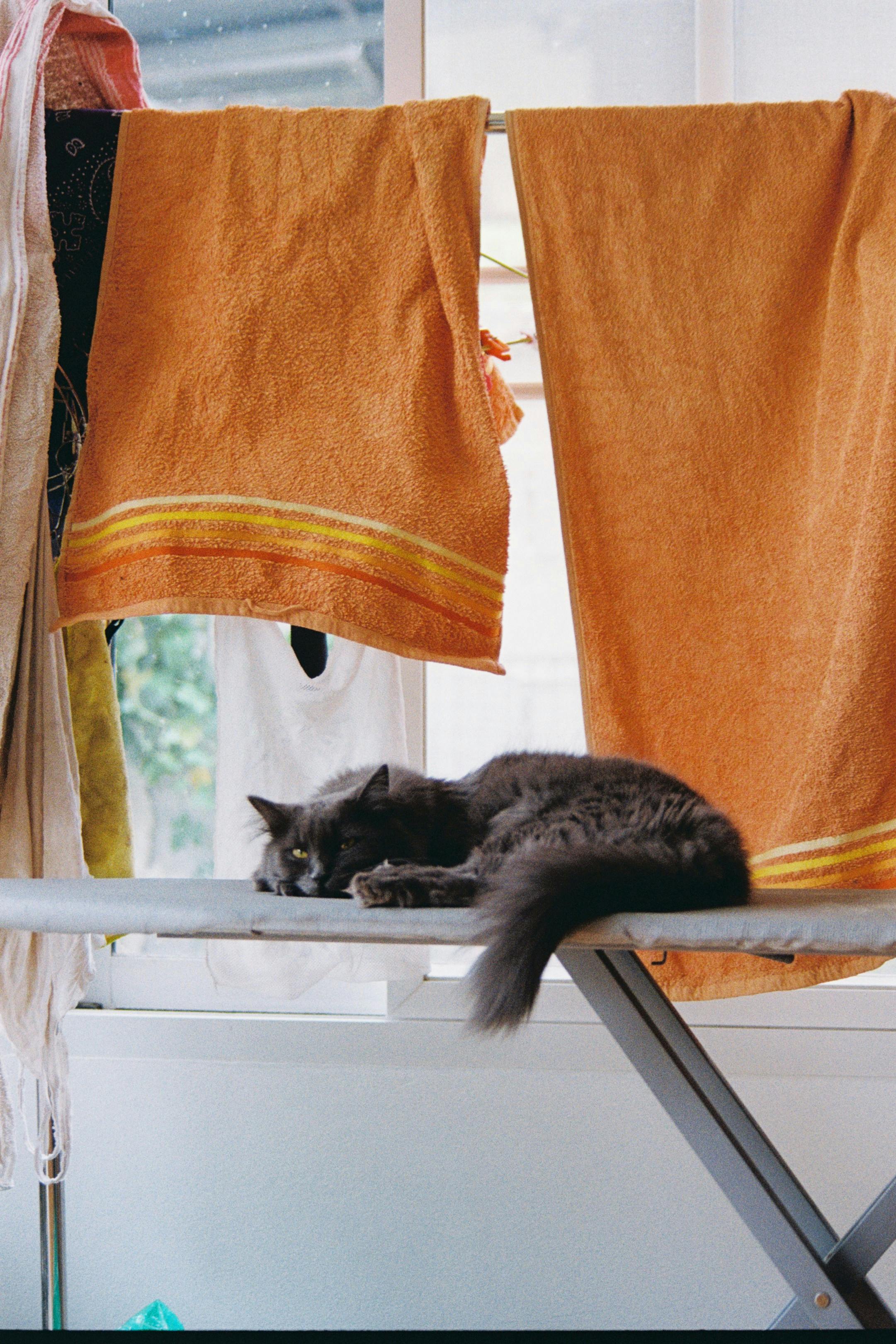 Figure & Fold Pet Hair Removal Treatment